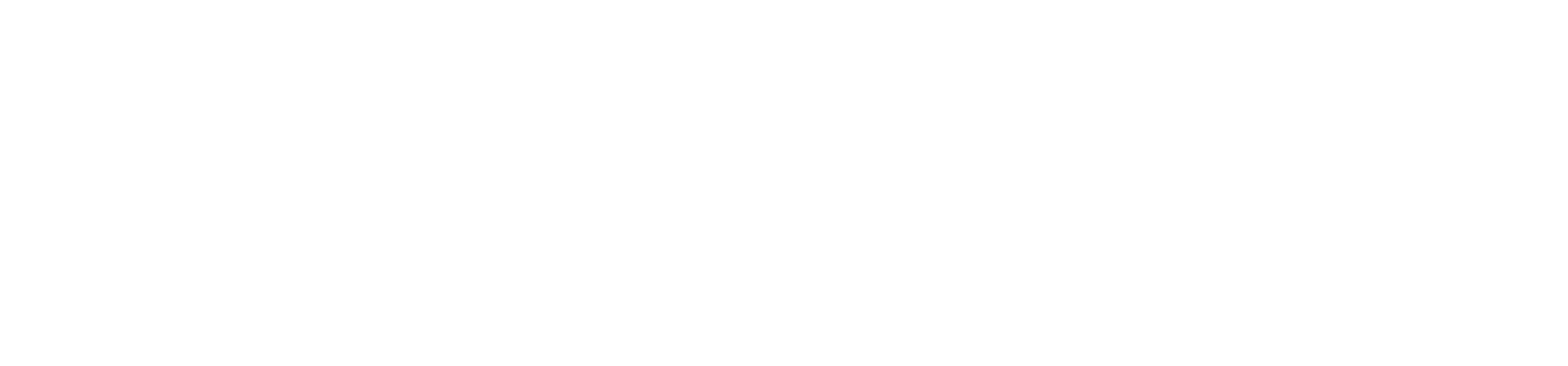Serel logo
